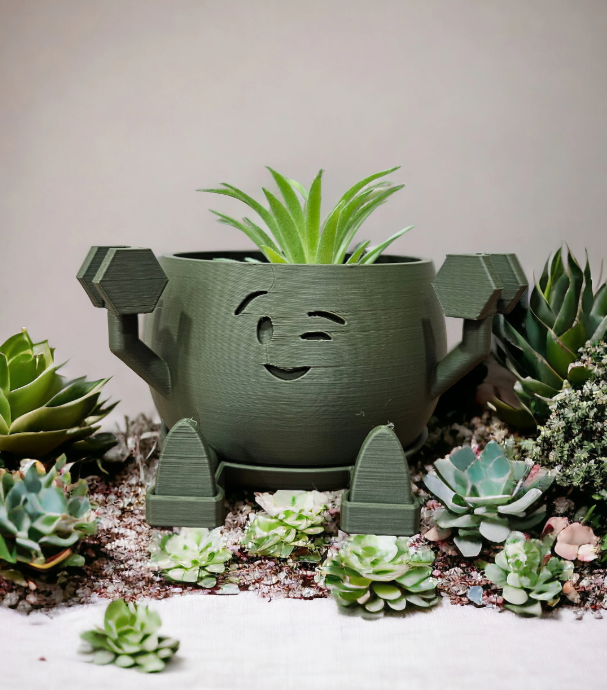 3.25 Smile Succulent Cactus Monstera Planter - Muscle Edition